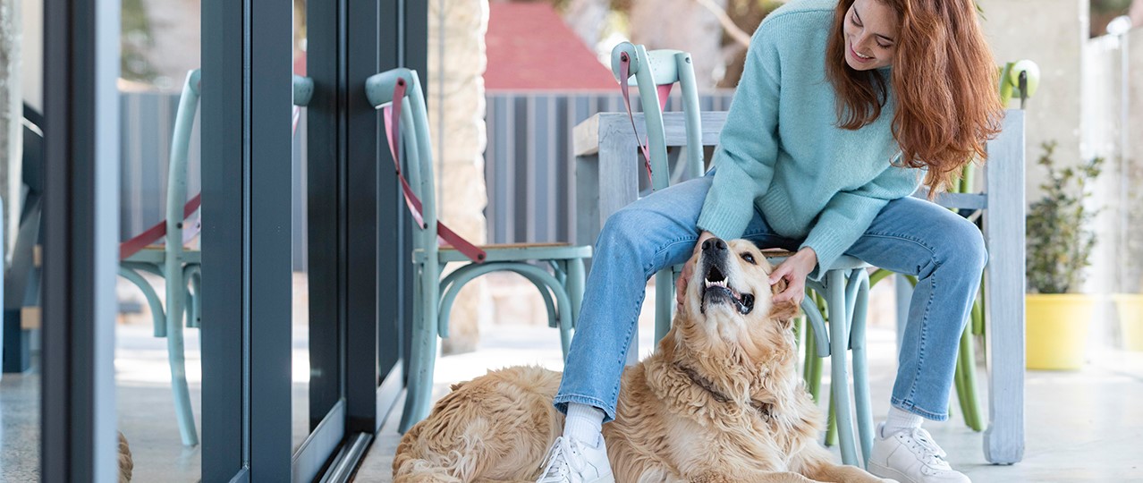 Arnavutköy Köpek Oteli