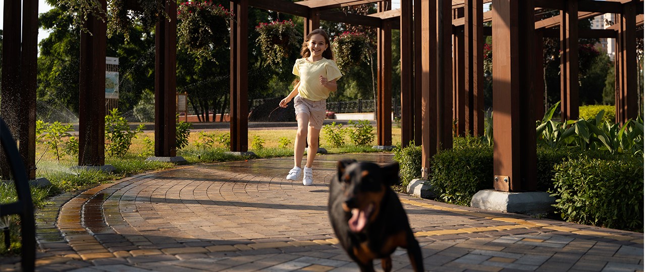 İstanbul Köpek Oteli