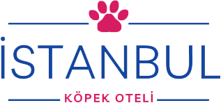 İstanbul Köpek Oteli